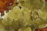 Yellow-Green Austinite Crystal Formation - Durango, Mexico #154714-1